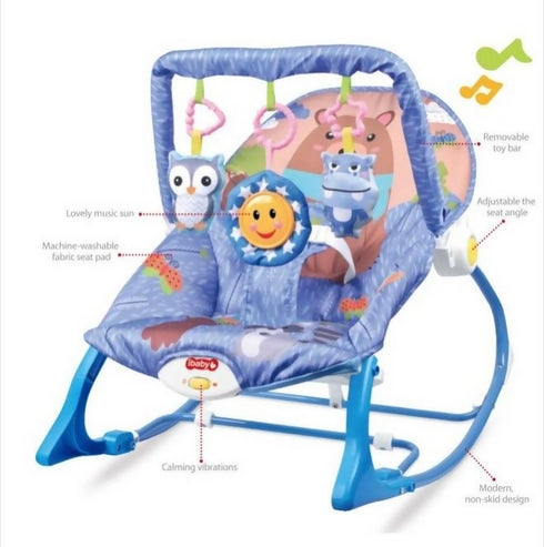 Baby Infant-to-Toddler Rocker
